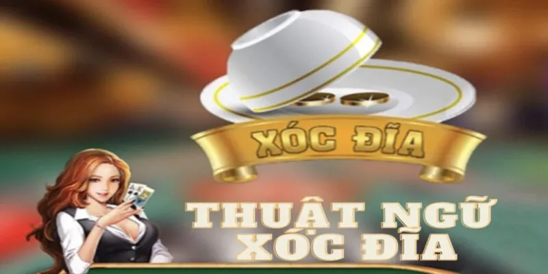 Tìm hiểu thuật ngữ trong Xóc Đĩa để biết cách chơi chuẩn xác nhất