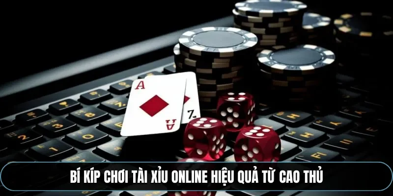 Bí kíp chơi tài xỉu online hiệu quả từ cao thủ